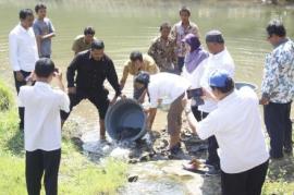 PENEBARAN BIBIT IKAN DI SUNGAI PULUTAN