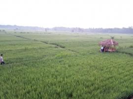 Wisata Edukasi Lembah Desa Pulutan Mulai Ngehits